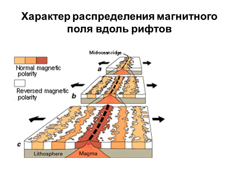 Характер распределения магнитного поля вдоль рифтов